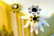 cake jewels