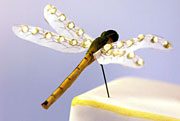 cake jewels